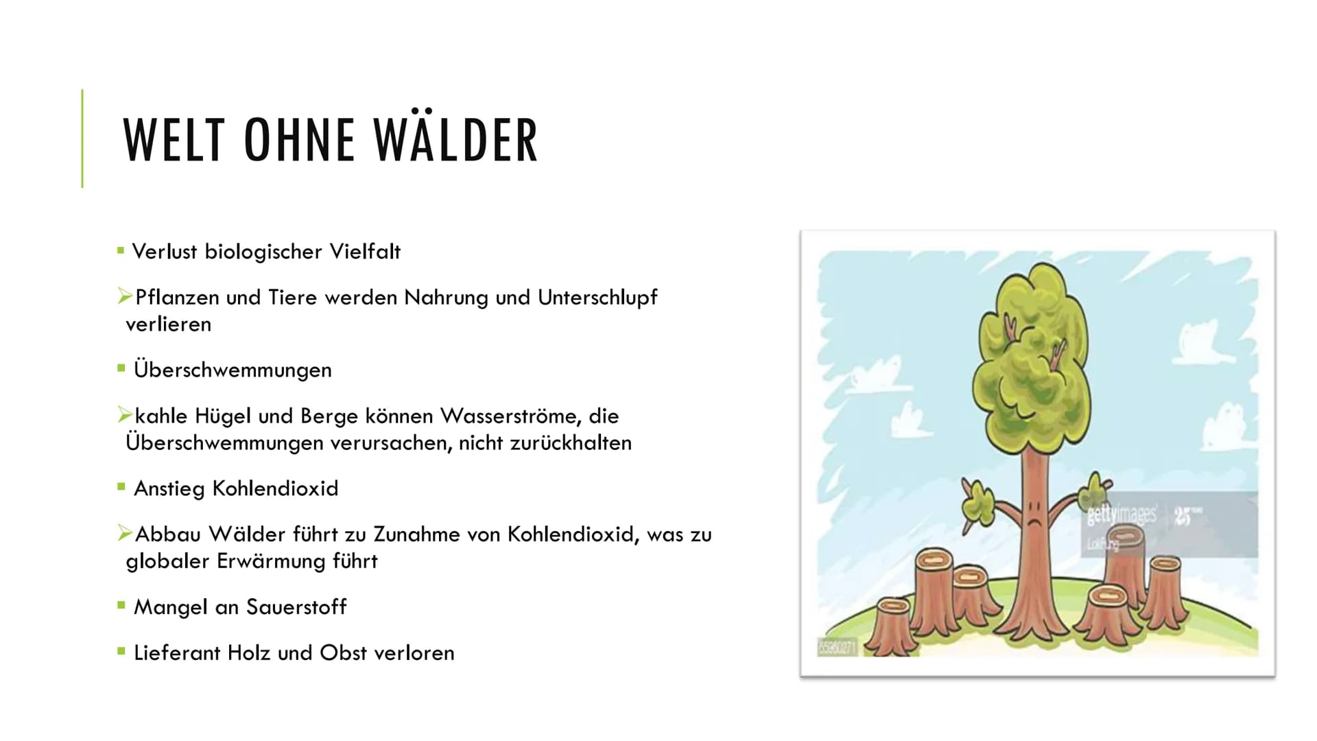 1. Grundlagen
Definition:
Ökosystem: Beziehungsgefüge zwischen Biotop und Biozönose
Wald: Biotop →→→ Lebensraum für Lebewesen
Wichtigkeit:
2