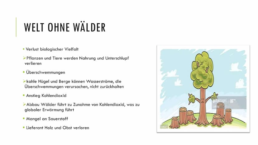 1. Grundlagen
Definition:
Ökosystem: Beziehungsgefüge zwischen Biotop und Biozönose
Wald: Biotop →→→ Lebensraum für Lebewesen
Wichtigkeit:
2