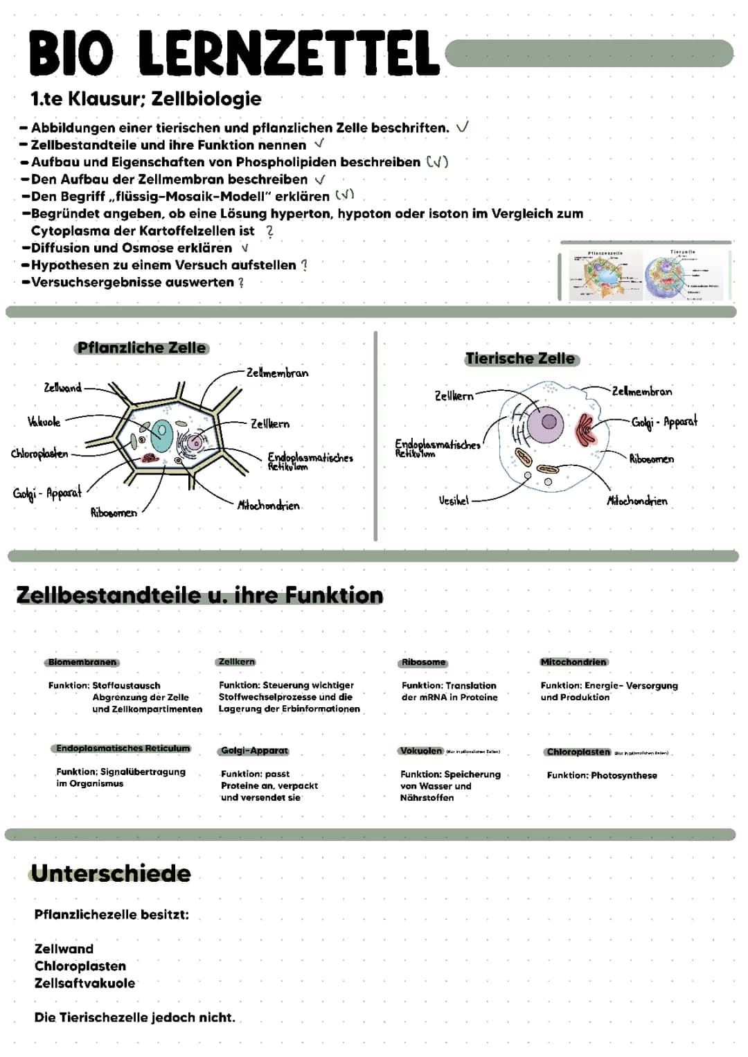  Zellbiologie 
