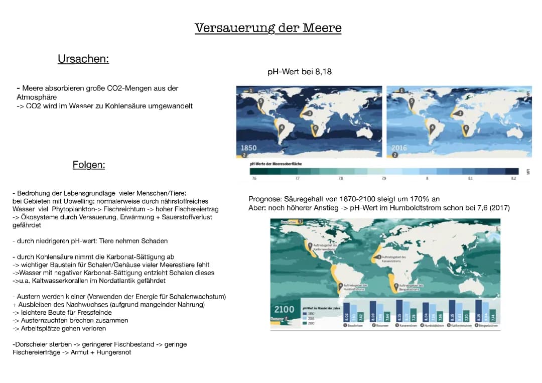 versauerung der Meere