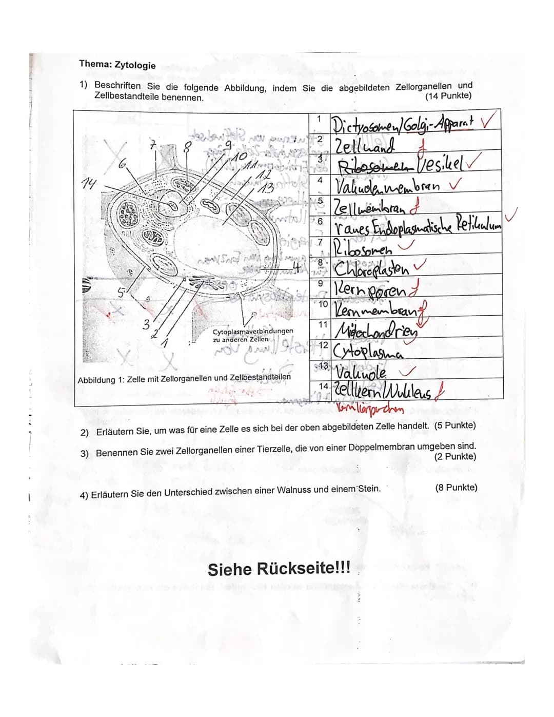 Thema: Zytologie
1) Beschriften Sie die folgende Abbildung, indem Sie die abgebildeten Zellorganellen und
Zellbestandteile benennen.
(14 Pun