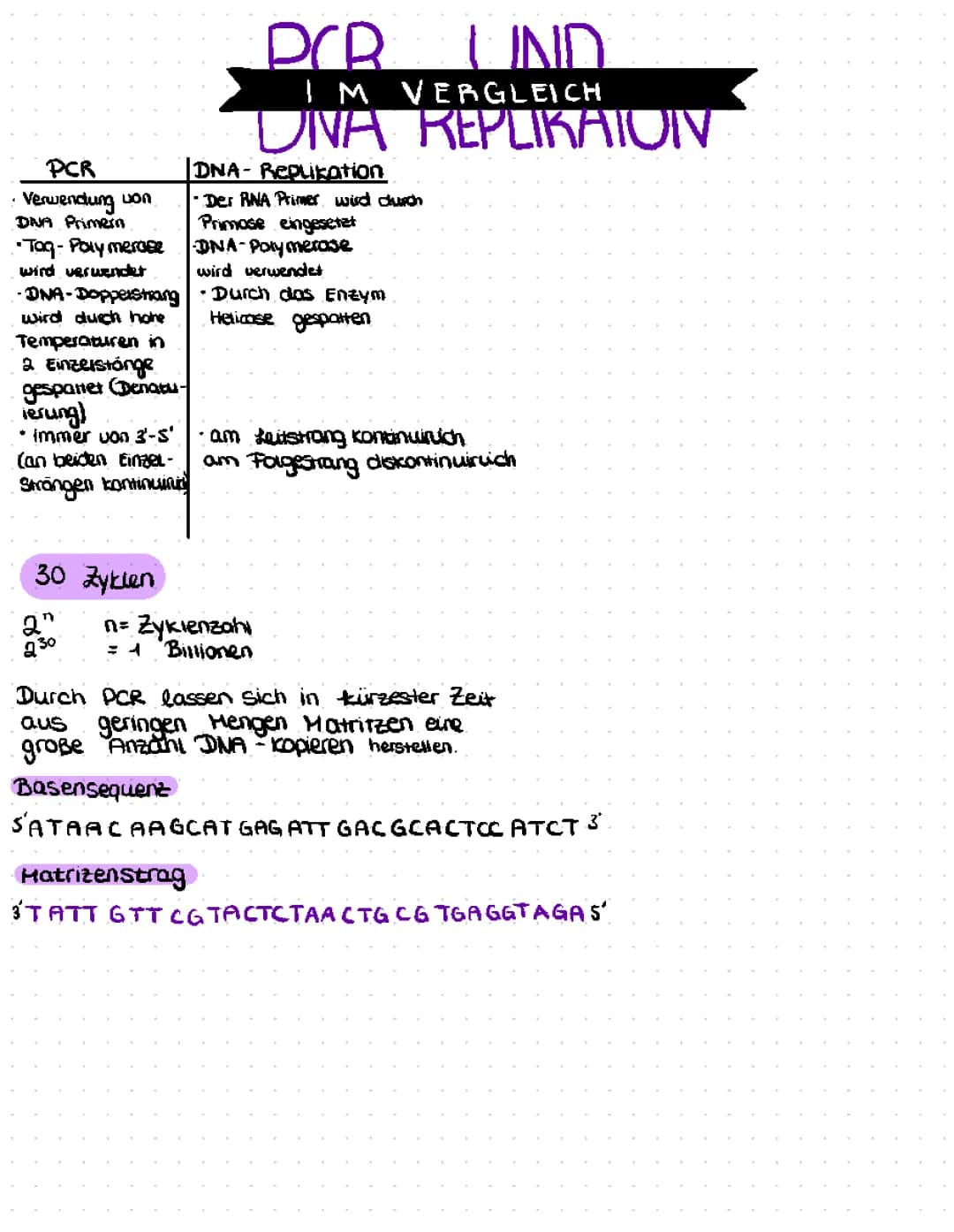 PCR und DNA Replikation im Vergleich 