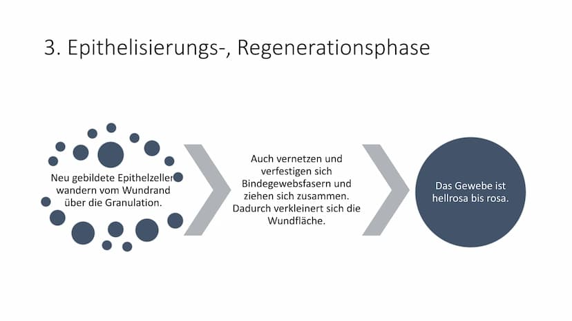 alio
Einmal
Handsch
Handschuhe
alio Einmal
Bei primär und
sekundär heilenden
Wunden einen
Verband wechseln
Handlungskompetenz D.7
Lia Serain