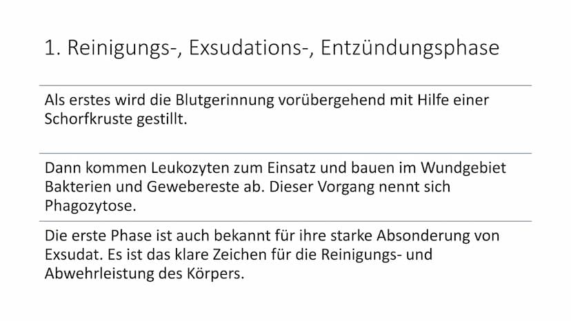 alio
Einmal
Handsch
Handschuhe
alio Einmal
Bei primär und
sekundär heilenden
Wunden einen
Verband wechseln
Handlungskompetenz D.7
Lia Serain