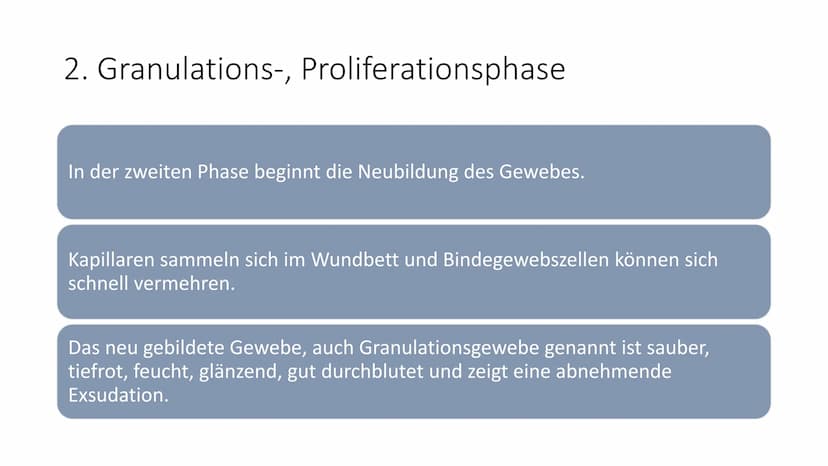 alio
Einmal
Handsch
Handschuhe
alio Einmal
Bei primär und
sekundär heilenden
Wunden einen
Verband wechseln
Handlungskompetenz D.7
Lia Serain