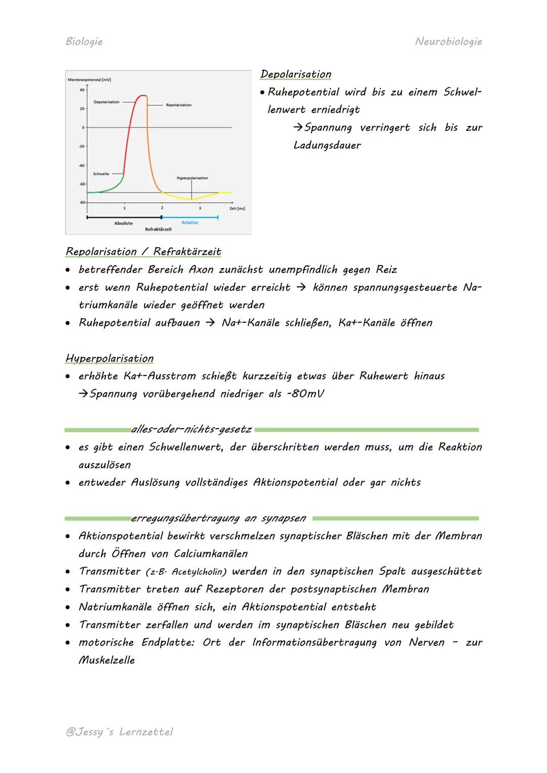 Biologie

# NERVENZELLE

Soma mit
Zellkern
Dendriten
Axon

Axonhügel
Myelin-produzierende
Neurobiologie
Synnaptische
Endigungen
Schwann-Zell