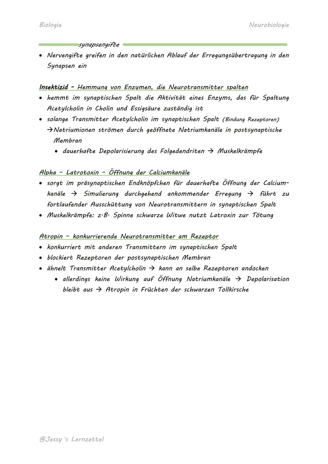 Biologie

# NERVENZELLE

Soma mit
Zellkern
Dendriten
Axon

Axonhügel
Myelin-produzierende
Neurobiologie
Synnaptische
Endigungen
Schwann-Zell