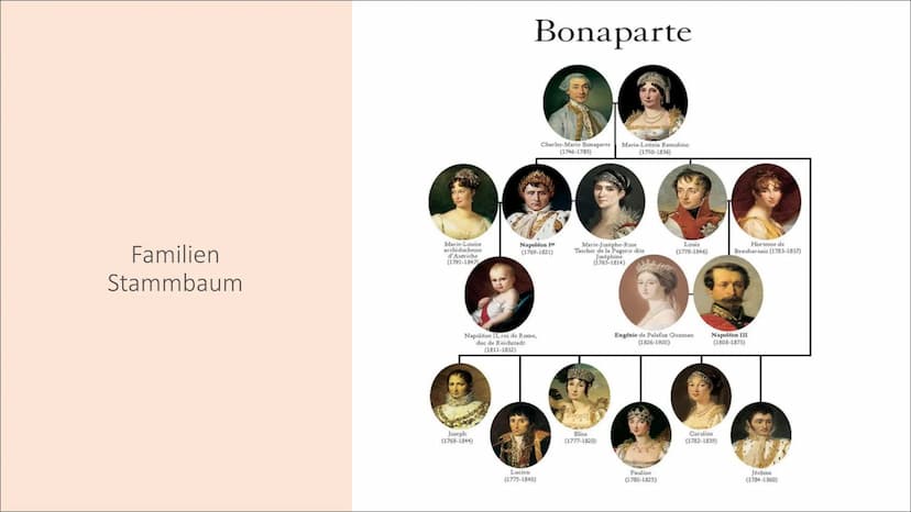 Napoleon Bonapartes
Auf- und Abgestieg ●
Geburt / Kindheit
-> Familien Stammbaum
Aufstieg/Lebenslauf
Ziele (Welche er verwirklichen konnte)
