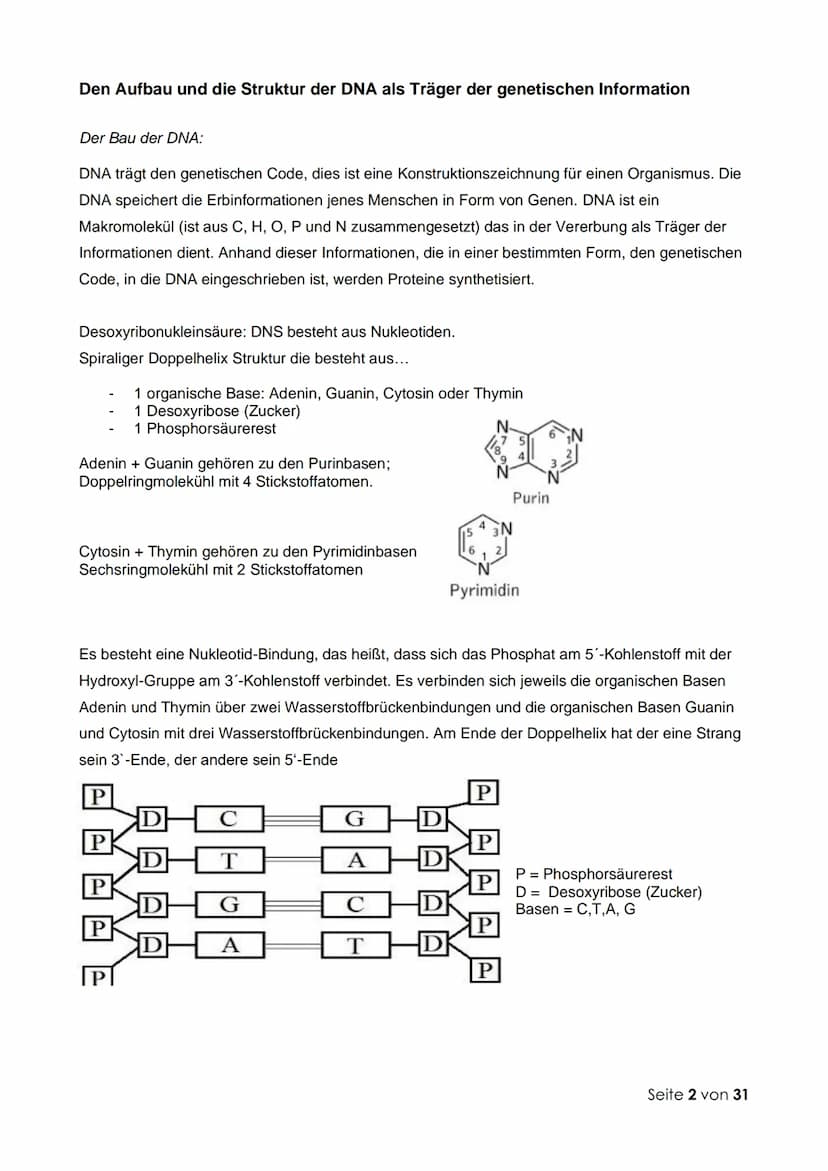 Thema 1: Molekulargenetik und Gentechnik
Fachbegriffe zur Genetik:
Genetik: Wissenschaft (Lehre) von der Vererbung
Vererbung: Auftreten glei