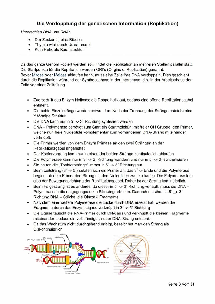 Thema 1: Molekulargenetik und Gentechnik
Fachbegriffe zur Genetik:
Genetik: Wissenschaft (Lehre) von der Vererbung
Vererbung: Auftreten glei