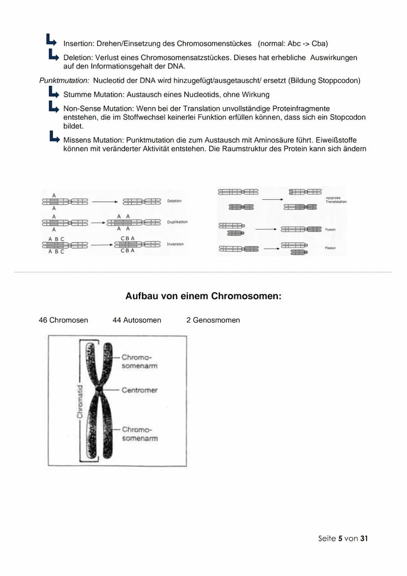 Thema 1: Molekulargenetik und Gentechnik
Fachbegriffe zur Genetik:
Genetik: Wissenschaft (Lehre) von der Vererbung
Vererbung: Auftreten glei