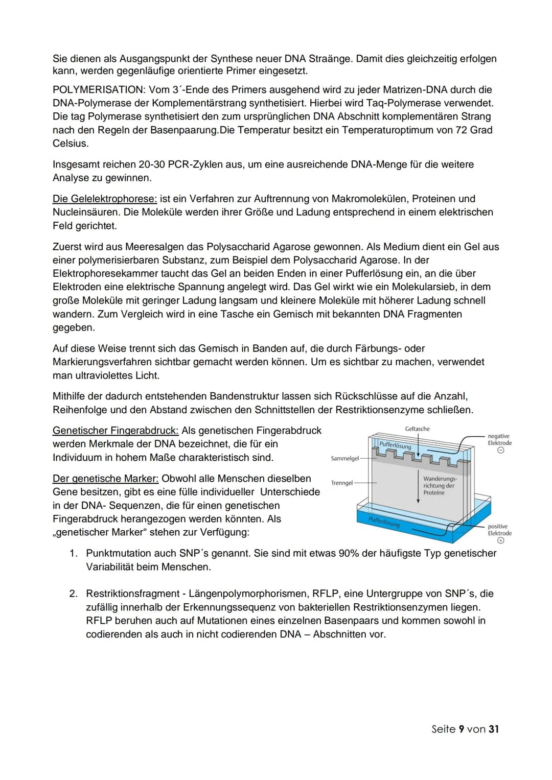 Thema 1: Molekulargenetik und Gentechnik
Fachbegriffe zur Genetik:
Genetik: Wissenschaft (Lehre) von der Vererbung
Vererbung: Auftreten glei