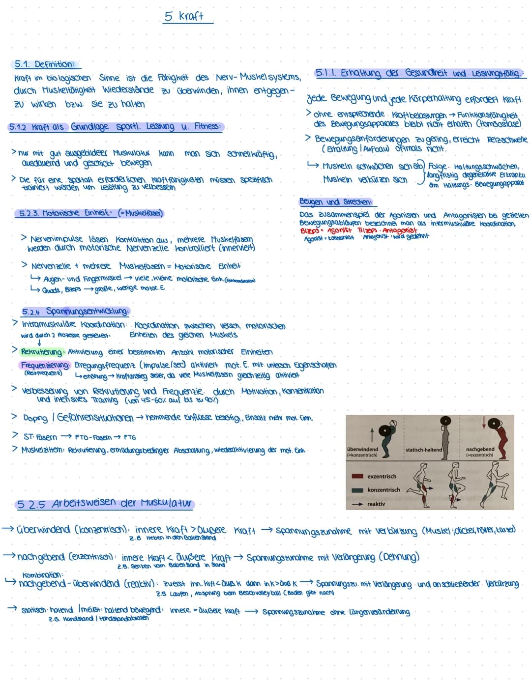 5.1. Definition:
Kraft im biologischen Sinne ist die Fähigkeit des Nerv-Muskel systems,
durch Muskeltätigkeit Wiederstände zu überwinden, ih