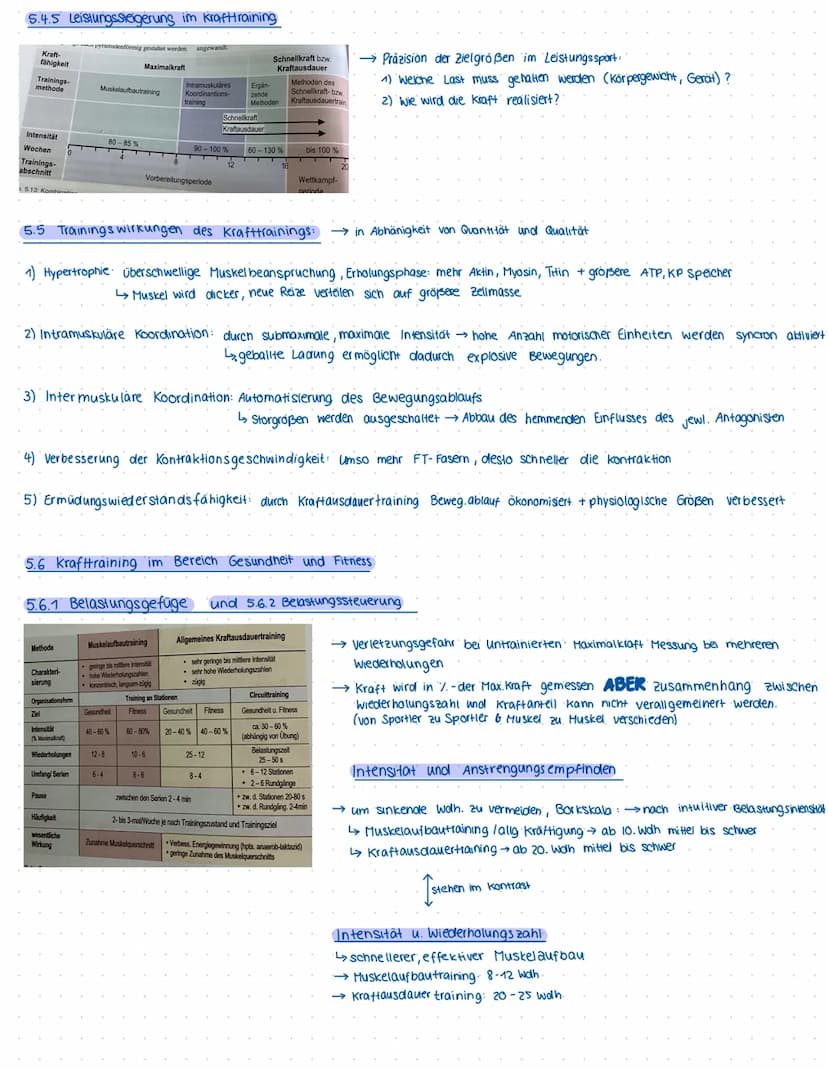 5.1. Definition:
Kraft im biologischen Sinne ist die Fähigkeit des Nerv-Muskel systems,
durch Muskeltätigkeit Wiederstände zu überwinden, ih