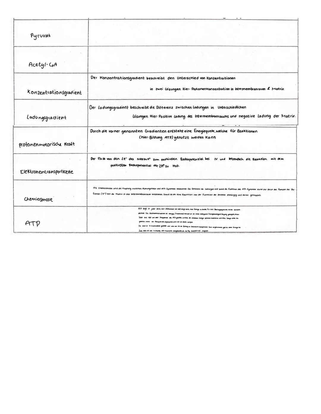 ZELLATMUNG
GRUNDPRINZIP
• Oxidation - Elektronenabgabe (→ H* + e²)
• Reduktion - Elektronenaufnahme (H²+e² H)
→Übertragung Wasserstoffatome
