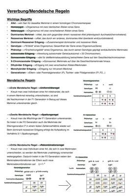 Know Vererbung/Mendelsohn Regeln/Beispiel Stammbaumanalyse thumbnail