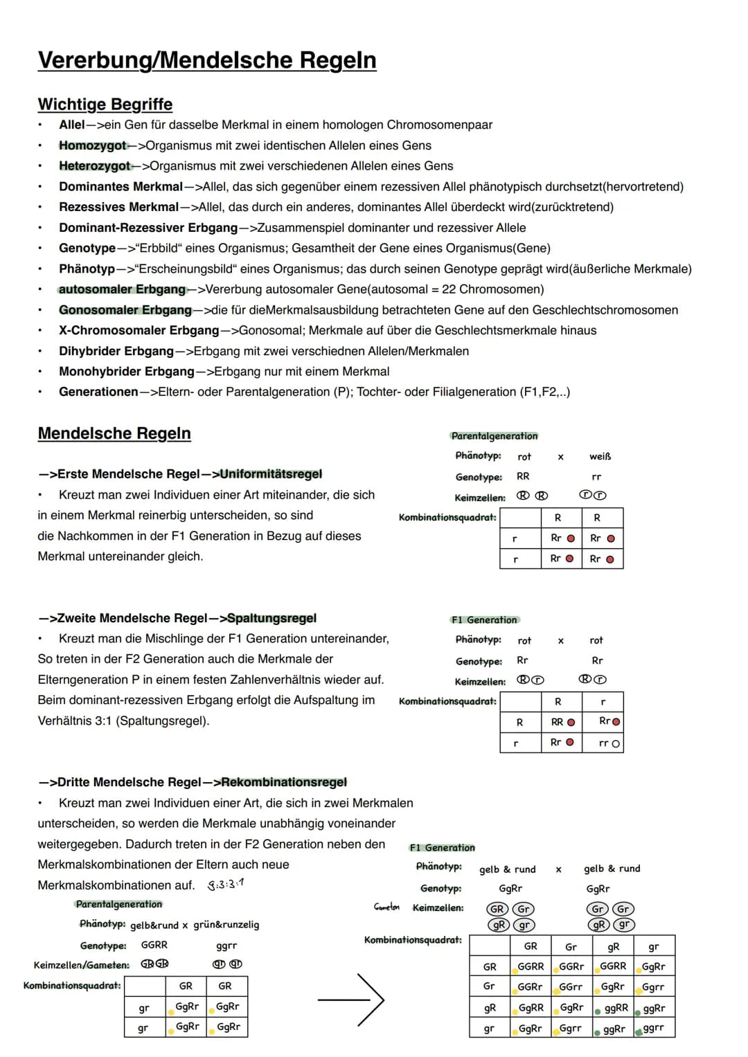 Vererbung/Mendelsche Regeln
Wichtige Begriffe
Allel->ein Gen für dasselbe Merkmal in einem homologen Chromosomenpaar
Homozygot->Organismus m