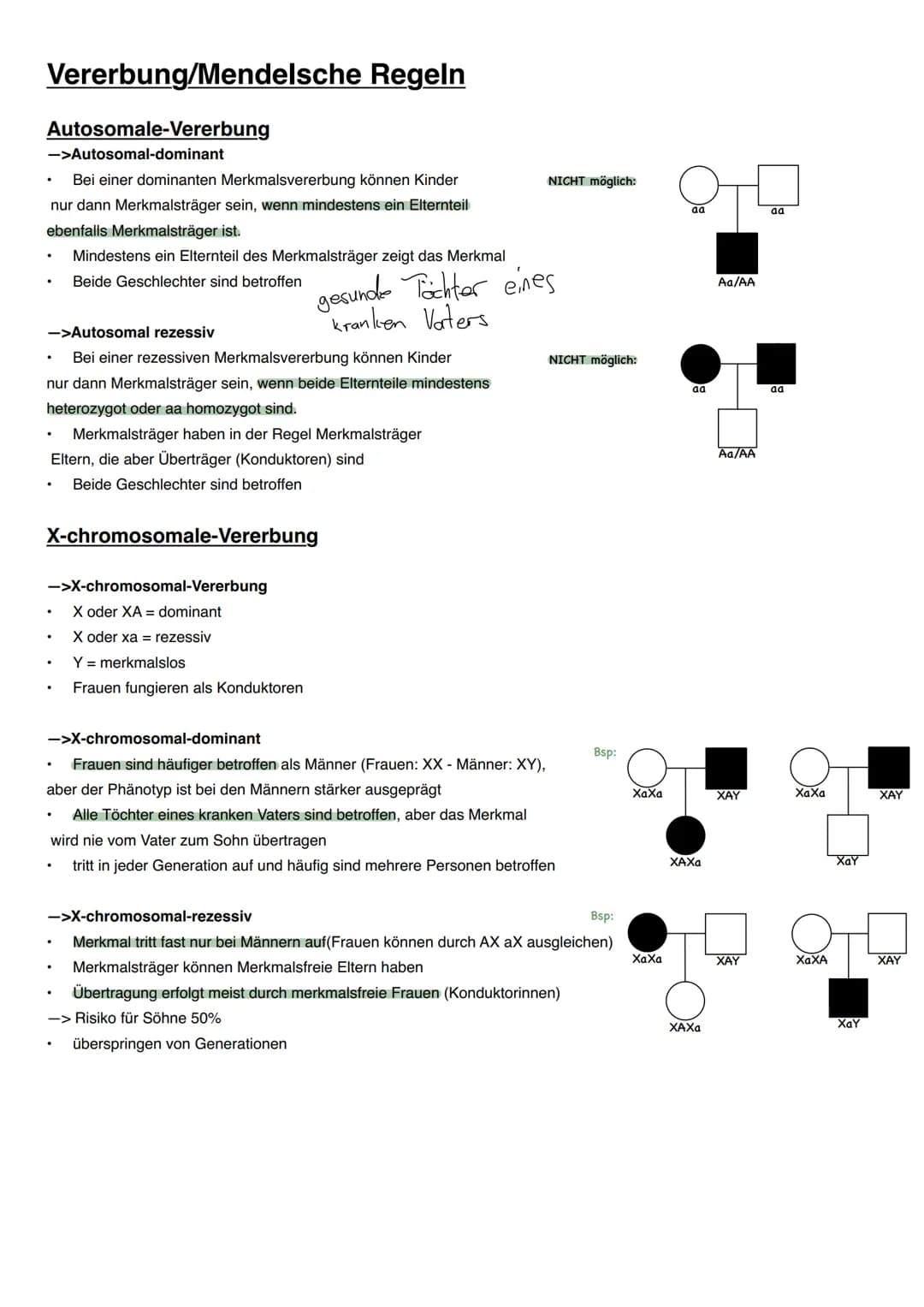 Vererbung/Mendelsche Regeln
Wichtige Begriffe
Allel->ein Gen für dasselbe Merkmal in einem homologen Chromosomenpaar
Homozygot->Organismus m