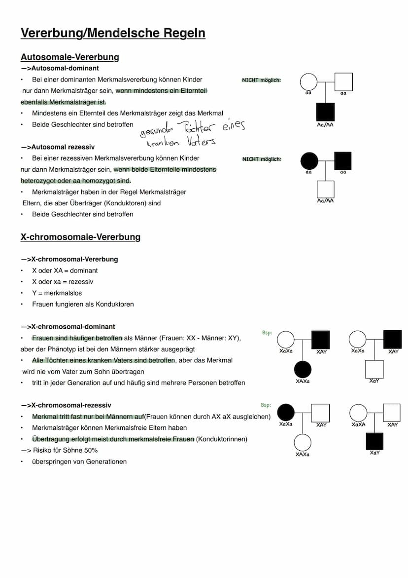 Vererbung/Mendelsche Regeln
Wichtige Begriffe
Allel->ein Gen für dasselbe Merkmal in einem homologen Chromosomenpaar
Homozygot->Organismus m