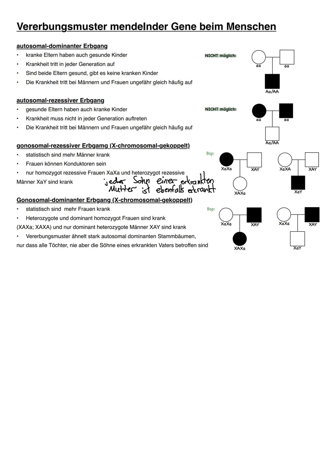 Vererbung/Mendelsche Regeln
Wichtige Begriffe
Allel->ein Gen für dasselbe Merkmal in einem homologen Chromosomenpaar
Homozygot->Organismus m