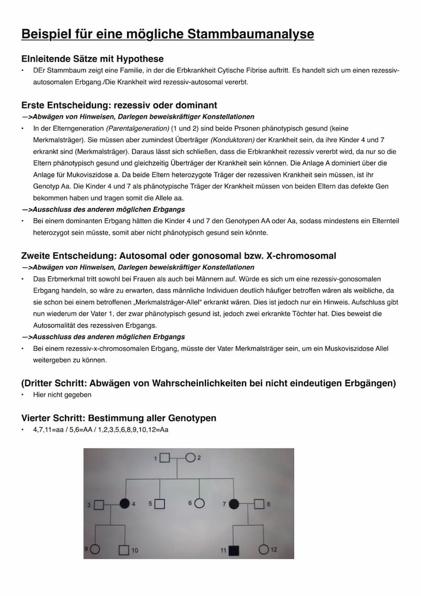 Vererbung/Mendelsche Regeln
Wichtige Begriffe
Allel->ein Gen für dasselbe Merkmal in einem homologen Chromosomenpaar
Homozygot->Organismus m