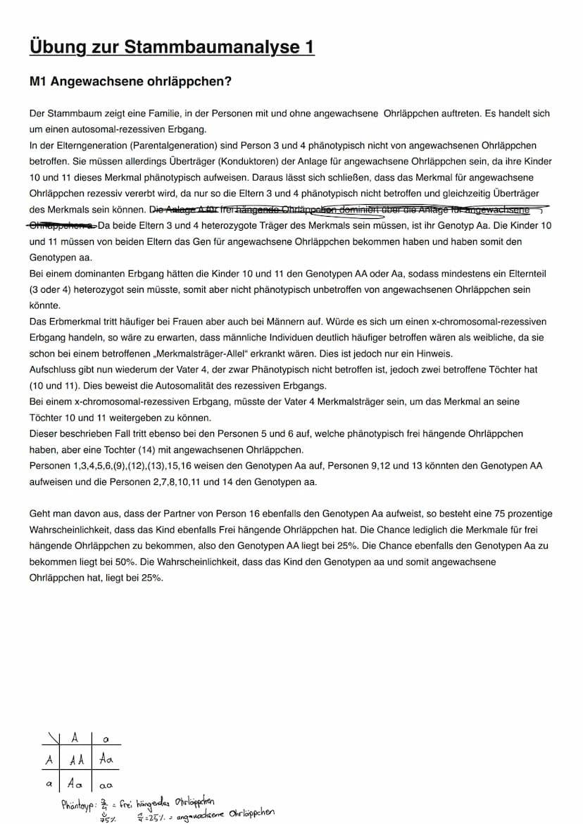 Vererbung/Mendelsche Regeln
Wichtige Begriffe
Allel->ein Gen für dasselbe Merkmal in einem homologen Chromosomenpaar
Homozygot->Organismus m