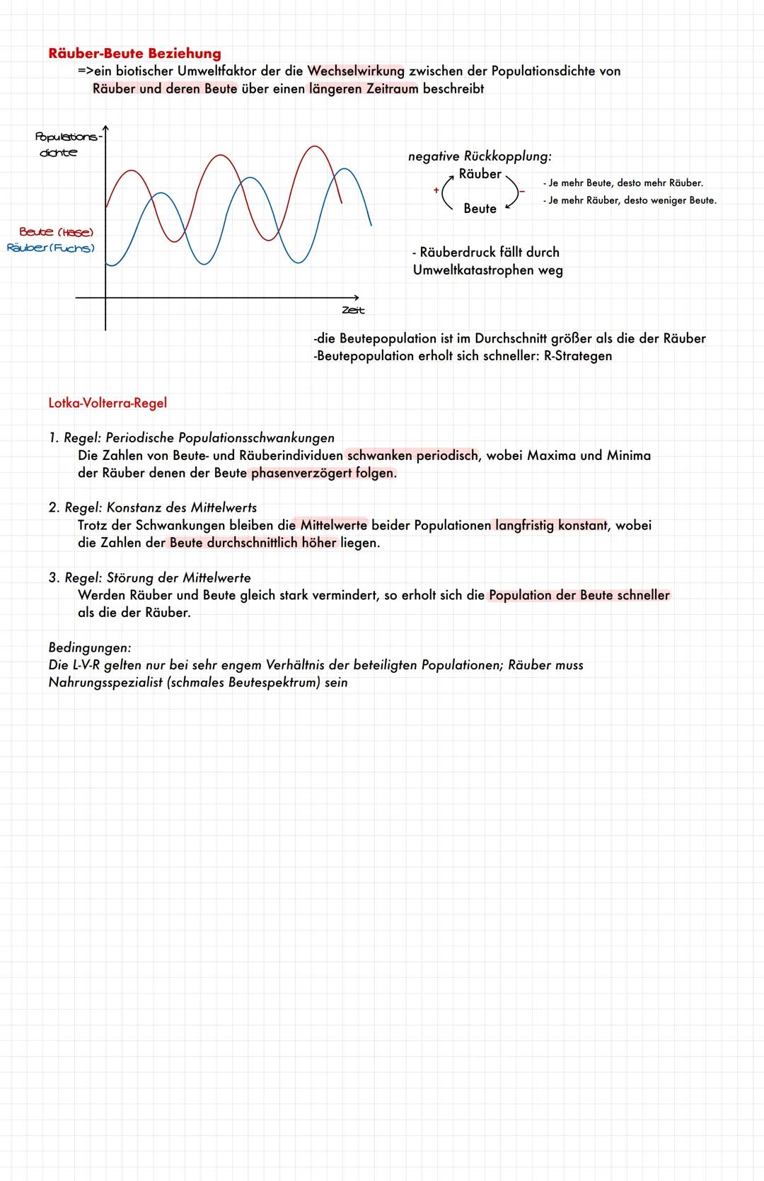 Räuber-Beute-Beziehung