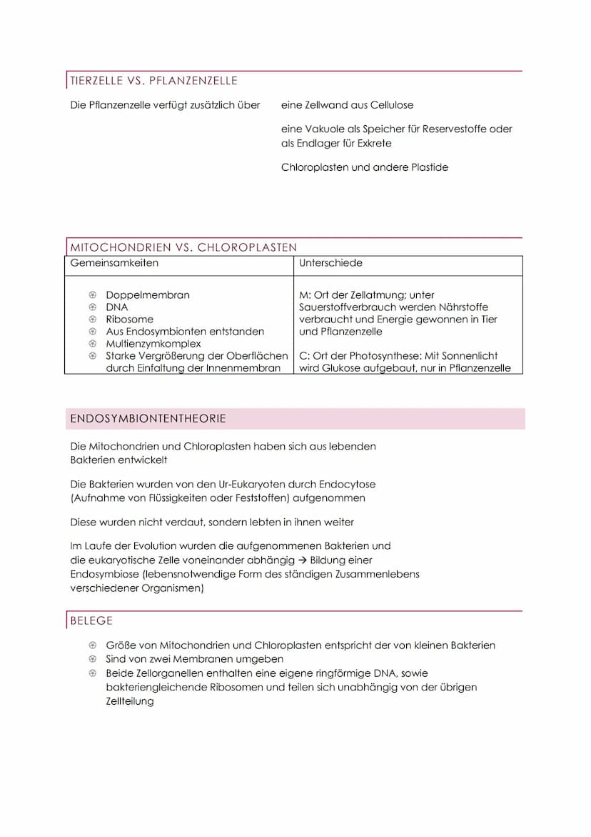 ZYTOLOGIE ABITUR
Zellen gehen immer aus Zellen hervor
Sie enthalten genetisches Material und benötigen Energie
PROKARYOTEN (ZELLEN OHNE ZELL