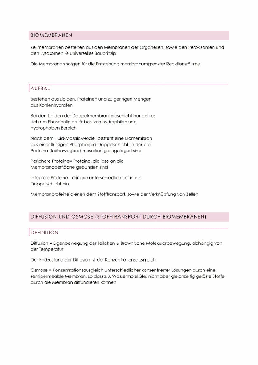 ZYTOLOGIE ABITUR
Zellen gehen immer aus Zellen hervor
Sie enthalten genetisches Material und benötigen Energie
PROKARYOTEN (ZELLEN OHNE ZELL