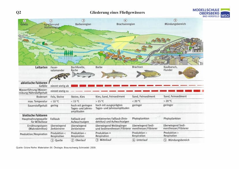 Q2 Biologie
Fließgewässer
Zonierung und Strukturierung
Aufgabe:
1. Geben Sie in der Abbildung ,,Zonierung eines Fließgewässers" auf Seite 2 