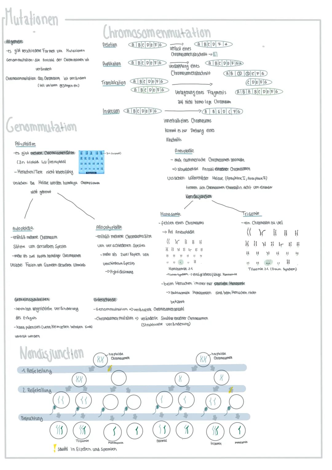 Genetik
Chromosomen
-Chromosomenarm
Chorald
-Alel
-Zentromer
2 Chromalid-Chiomosom
-Keimzellen haploider Chromosomen satz
как
28 12
}(
JL 11