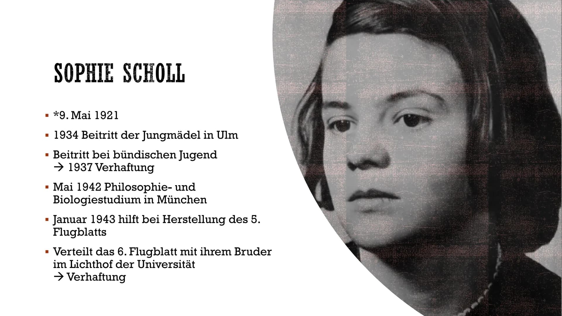 DIE WEIBE ROSE
Widerstand im Nationalsozialismus
C INHALT
Enstehung
Beginn des Widerstands
Mitglieder
Hans Scholl
Sophie Scholl
Alexander Sc