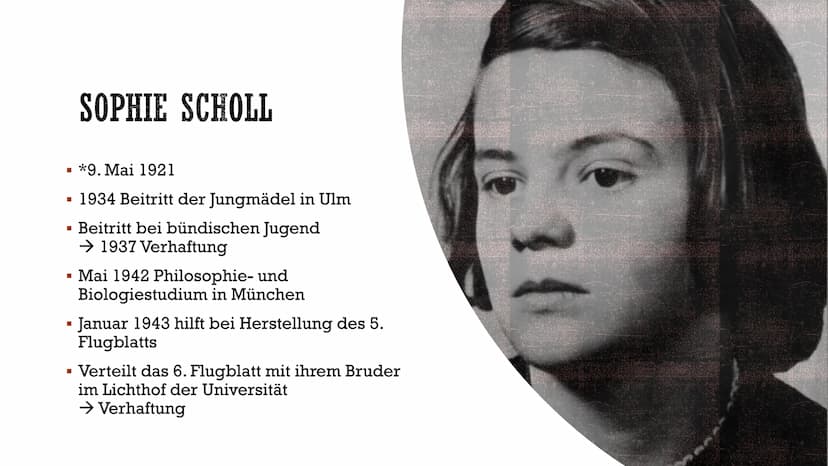 DIE WEIBE ROSE
Widerstand im Nationalsozialismus
C INHALT
Enstehung
Beginn des Widerstands
Mitglieder
Hans Scholl
Sophie Scholl
Alexander Sc