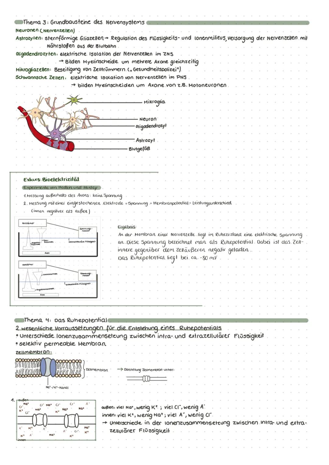 # neurobiologie

Dendrit.
Zerkem
Ilkörper
Soma)
Axonnügel

Thema 1: Neurone-Zellbestandteile und inre Funktion
Schwannsche ranvierscher
Zell