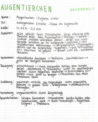 Know Steckbrief Augentierchen  thumbnail