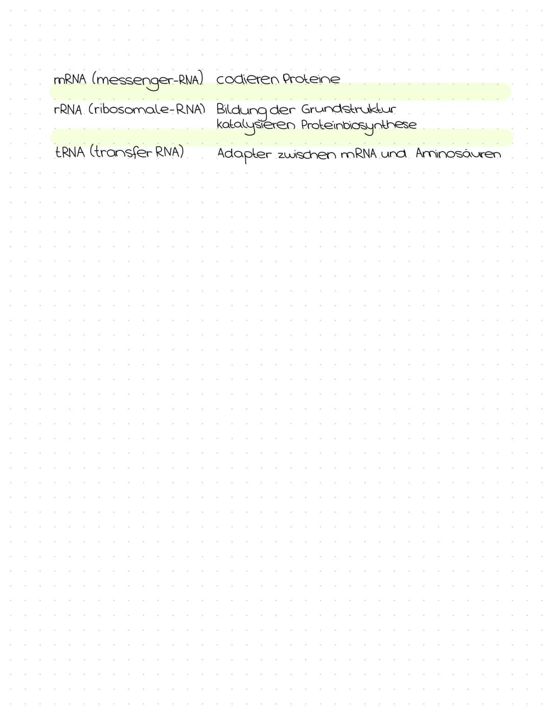 5
5
Р
مد سعد سمفهمة
3
Adenin=
Cytosin (E
(Thymin].
Thymin Adenin
Cytosin
Guanin
Adenin= Thyming
Pyrimidinbasen
Thymin, Cytosin
Guanin
2
/2
P