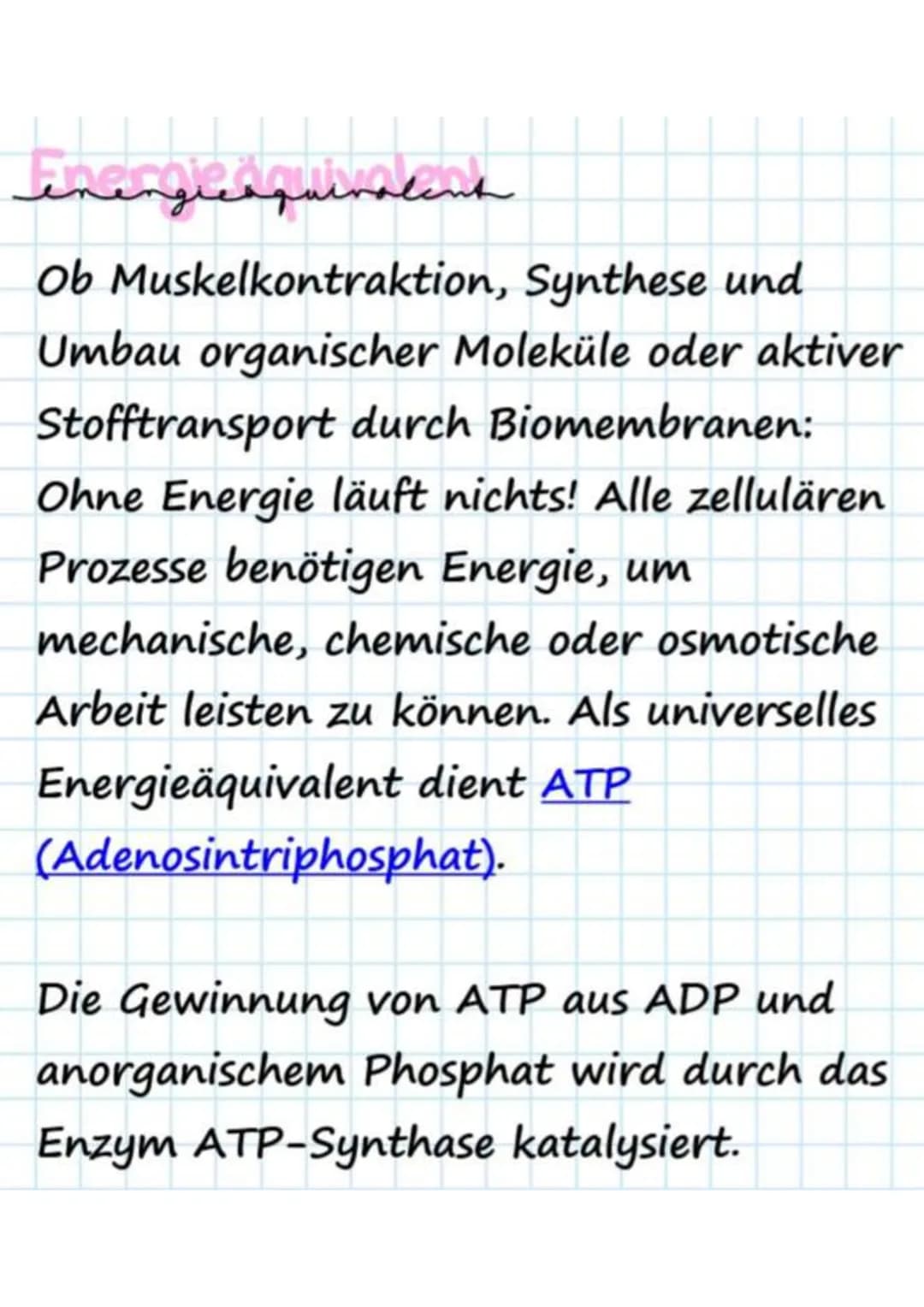 سلسلہ سلیم مقصدہ مفید
Ob Muskelkontraktion, Synthese und
Umbau organischer Moleküle oder aktiver
Stofftransport durch Biomembranen:
Ohne Ene