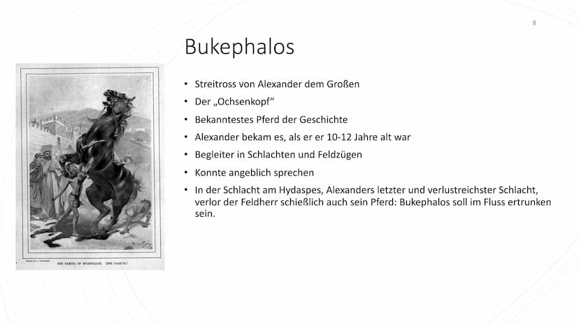 Alexander der Große und Bukephalos - Handout
1 Allgemeines
2 Kindheit und Jugend
ALEXANDER DER GROSSE (356-323 v. Chr.)
König von Makedonien