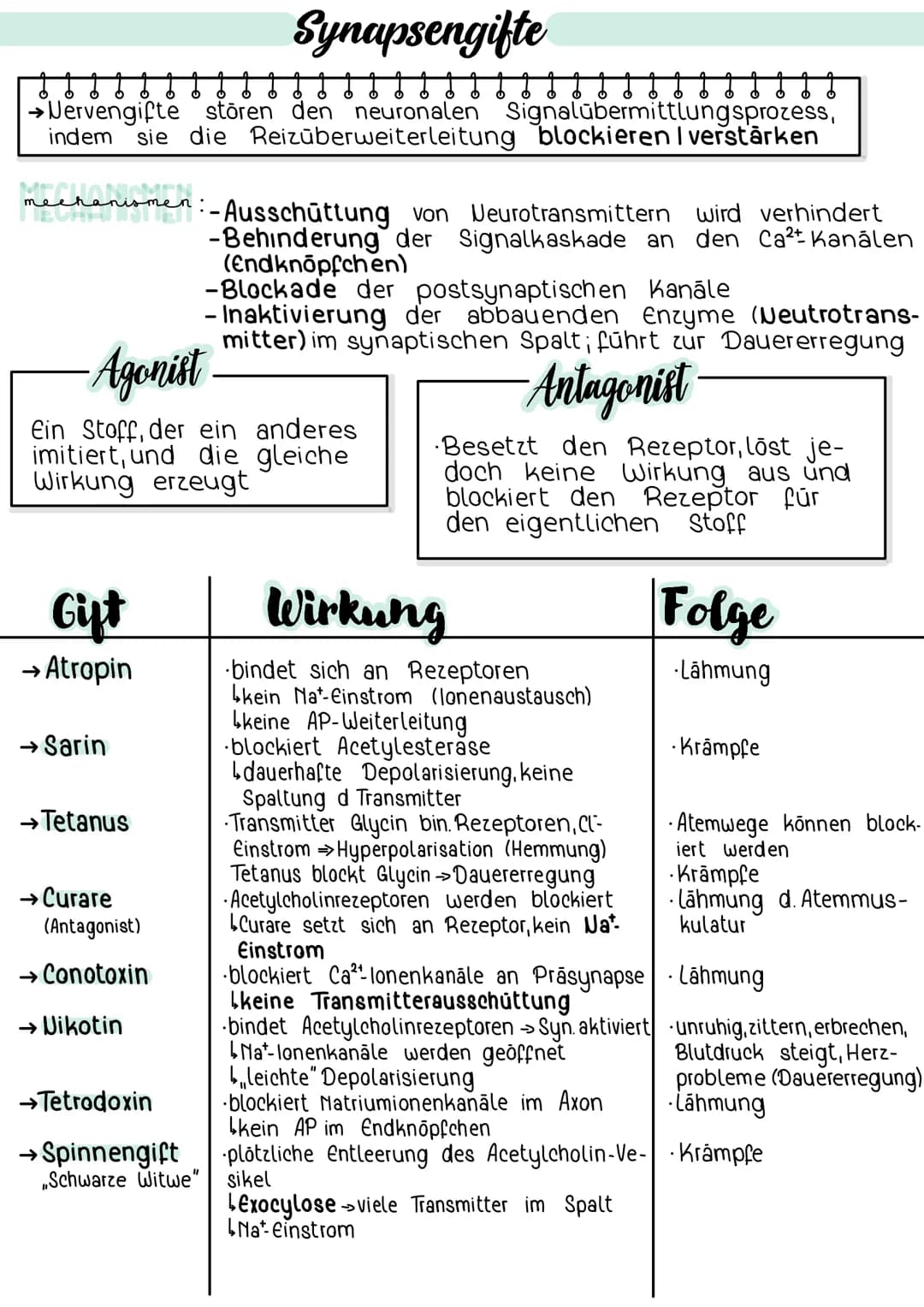 Synapsengifte
→Nervengifte stören den neuronalen Signalübermittlungsprozess,
indem sie die Reizüberweiterleitung blockieren I verstärken
mec