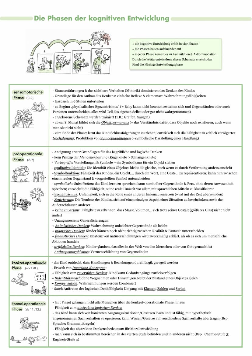 Jean Piaget:
- Pionier der kognitiven
Entwicklungspsychologie
- hatte 3 Kinder, an
denen er Studien betrieb
- konstruktivistischer Ansatz:
W