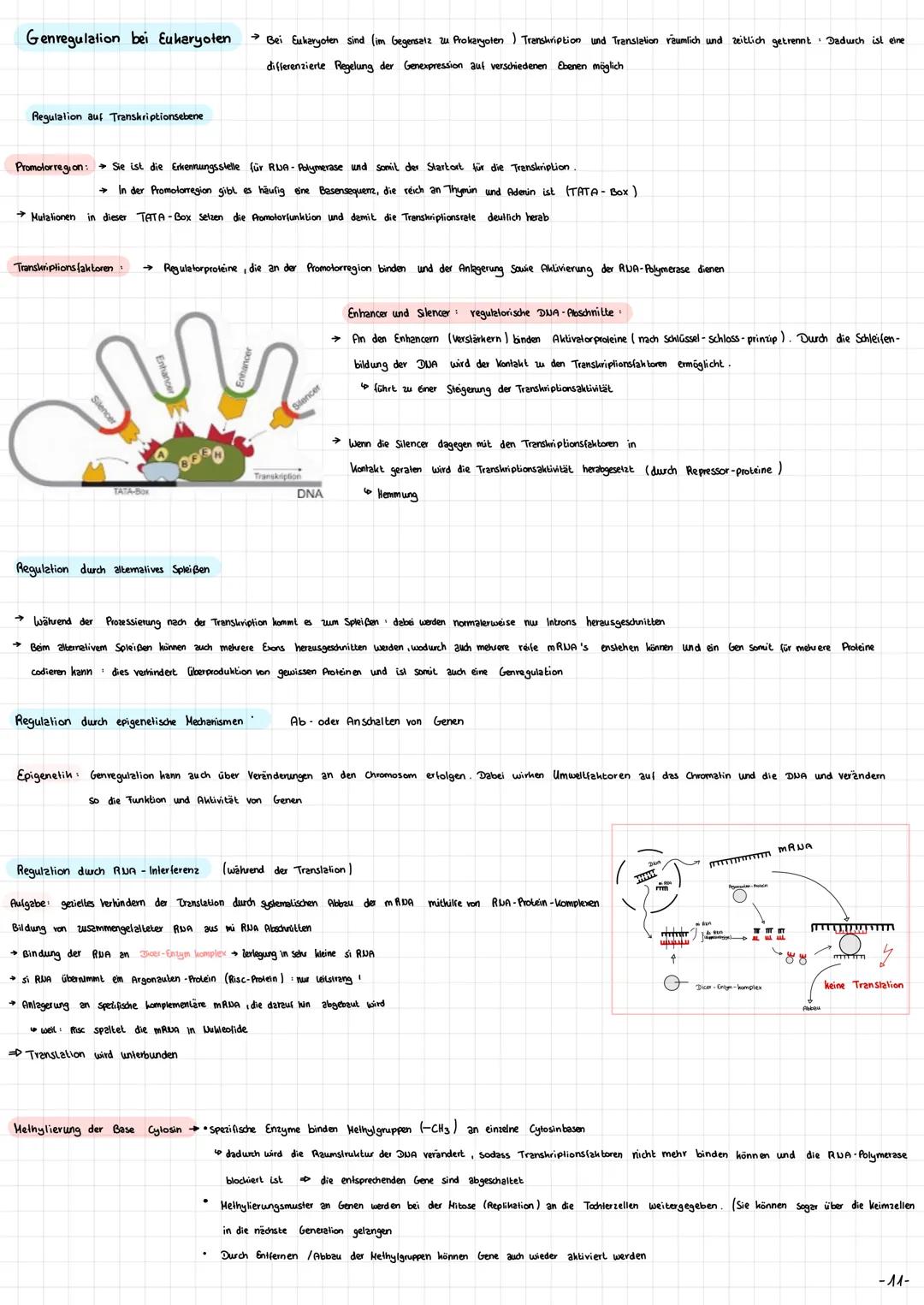 
<p>Die Mitochondrien sind die Kraftwerke der Zelle. Sie haben eine wichtige Funktion bei der Energieversorgung der Zelle. Die Mitochondrien