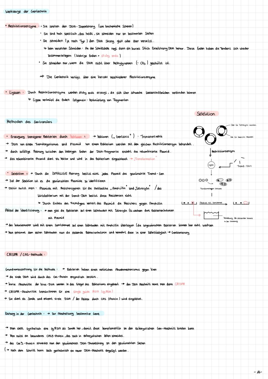 
<p>Die Mitochondrien sind die Kraftwerke der Zelle. Sie haben eine wichtige Funktion bei der Energieversorgung der Zelle. Die Mitochondrien