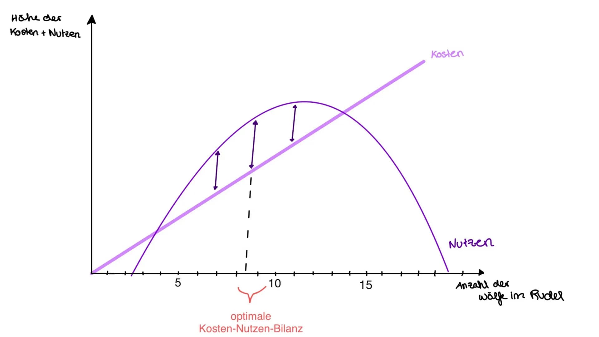Kosten-Nutzen-
Analysen
Joëlle Kaste
↑ Inhalt
01
REPRODUKTIVE FITNESS UND
KOSTEN-NUTZEN-ANALYSEN
02
BEISPIEL 01 - BIENEN
03
BEISPIEL 02 MIT 