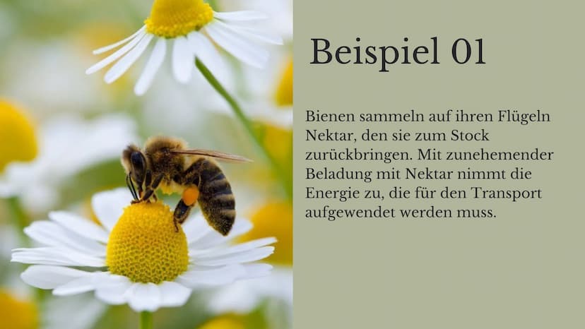 Kosten-Nutzen-
Analysen
Joëlle Kaste
↑ Inhalt
01
REPRODUKTIVE FITNESS UND
KOSTEN-NUTZEN-ANALYSEN
02
BEISPIEL 01 - BIENEN
03
BEISPIEL 02 MIT 