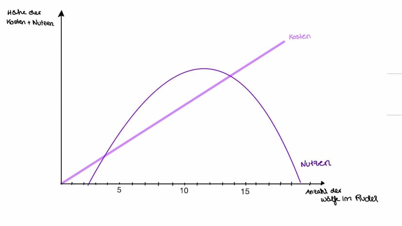 Kosten-Nutzen-
Analysen
Joëlle Kaste
↑ Inhalt
01
REPRODUKTIVE FITNESS UND
KOSTEN-NUTZEN-ANALYSEN
02
BEISPIEL 01 - BIENEN
03
BEISPIEL 02 MIT 