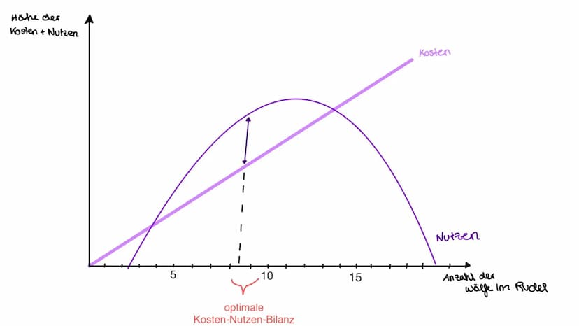 Kosten-Nutzen-
Analysen
Joëlle Kaste
↑ Inhalt
01
REPRODUKTIVE FITNESS UND
KOSTEN-NUTZEN-ANALYSEN
02
BEISPIEL 01 - BIENEN
03
BEISPIEL 02 MIT 