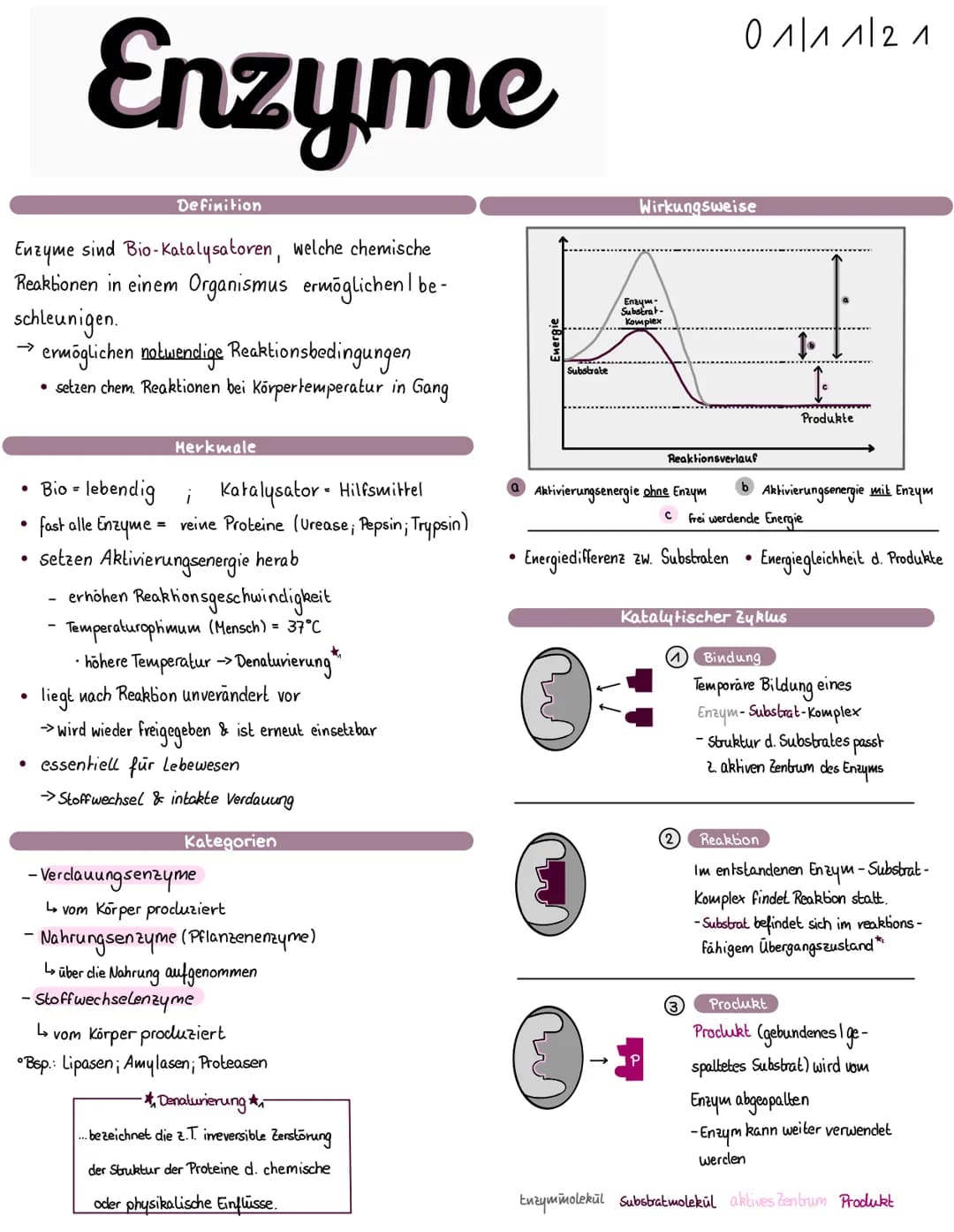 Biologie, l be
Enzyme sind Bio-Katalysatoren, welche chemische
Reaktionen in einem Organismus ermöglichen 11
schleunigen.
●
●
Enzyme
●
Defin