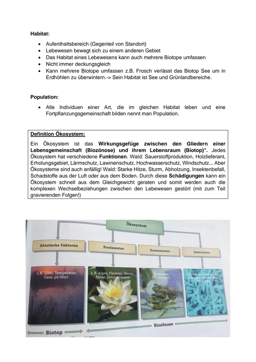 -Ökologie-
Einwirkung abiotischer und biotischer Umweltfaktoren auf Lebewesen
Abiotische Umweltfaktoren:
● Faktoren der unbelebten Umwelt
● 