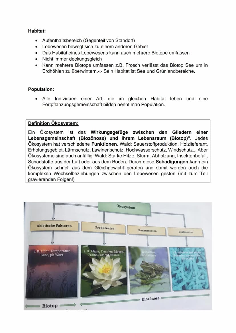 -Ökologie-
Einwirkung abiotischer und biotischer Umweltfaktoren auf Lebewesen
Abiotische Umweltfaktoren:
● Faktoren der unbelebten Umwelt
● 