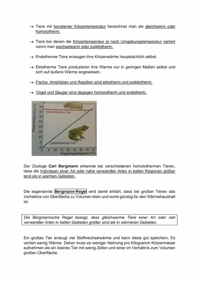 -Ökologie-
Einwirkung abiotischer und biotischer Umweltfaktoren auf Lebewesen
Abiotische Umweltfaktoren:
● Faktoren der unbelebten Umwelt
● 